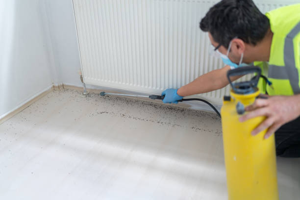 Best Exterminator Services  in Wayne, WV